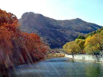 老外为证明没说谎带邻居来中国旅游