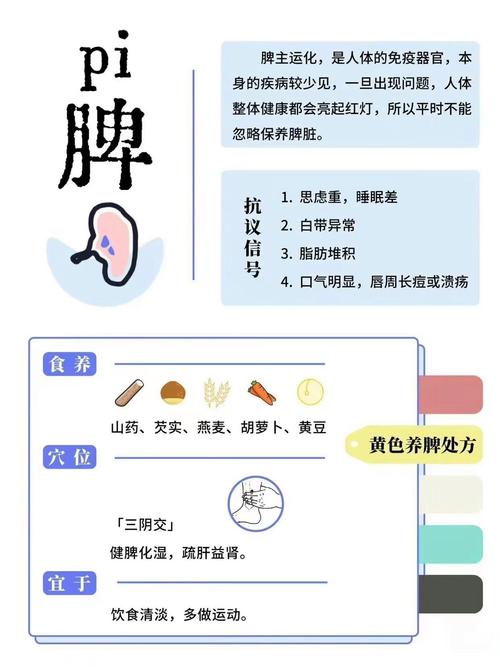 今日科普一下！用绳子编出五脏六腑,百科词条爱好_2024最新更新