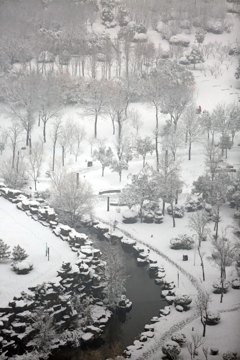 今日科普一下！景区棉花沙子冒充雪,百科词条爱好_2024最新更新