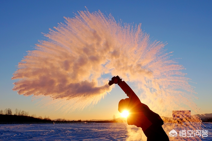 今日科普一下！黑悟空雪雕被嘲憨厚,百科词条爱好_2024最新更新