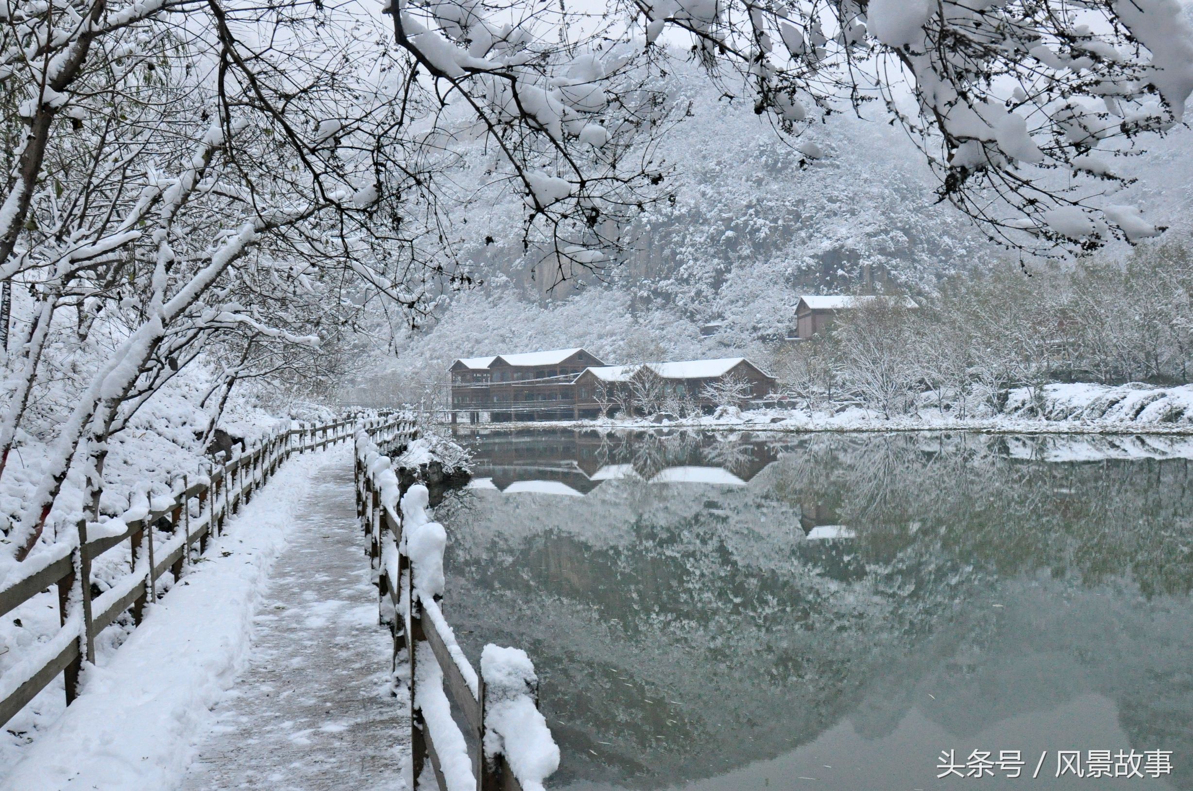 今日科普一下！黑悟空雪雕被嘲憨厚,百科词条爱好_2024最新更新