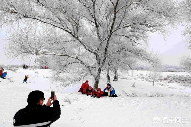 今日科普一下！黑悟空雪雕被嘲憨厚,百科词条爱好_2024最新更新