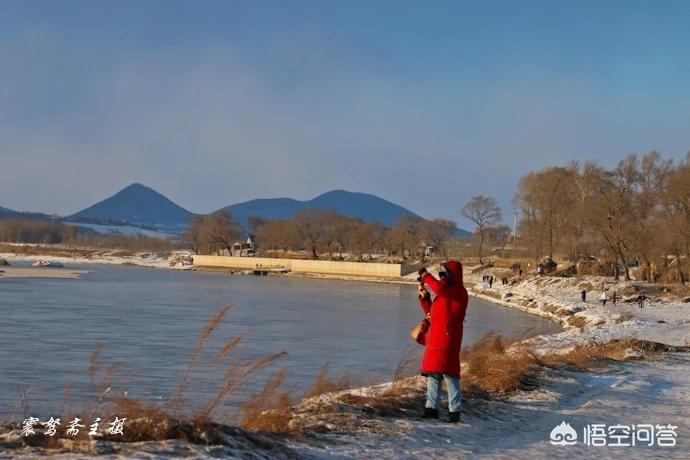 今日科普一下！黑悟空雪雕被嘲憨厚,百科词条爱好_2024最新更新