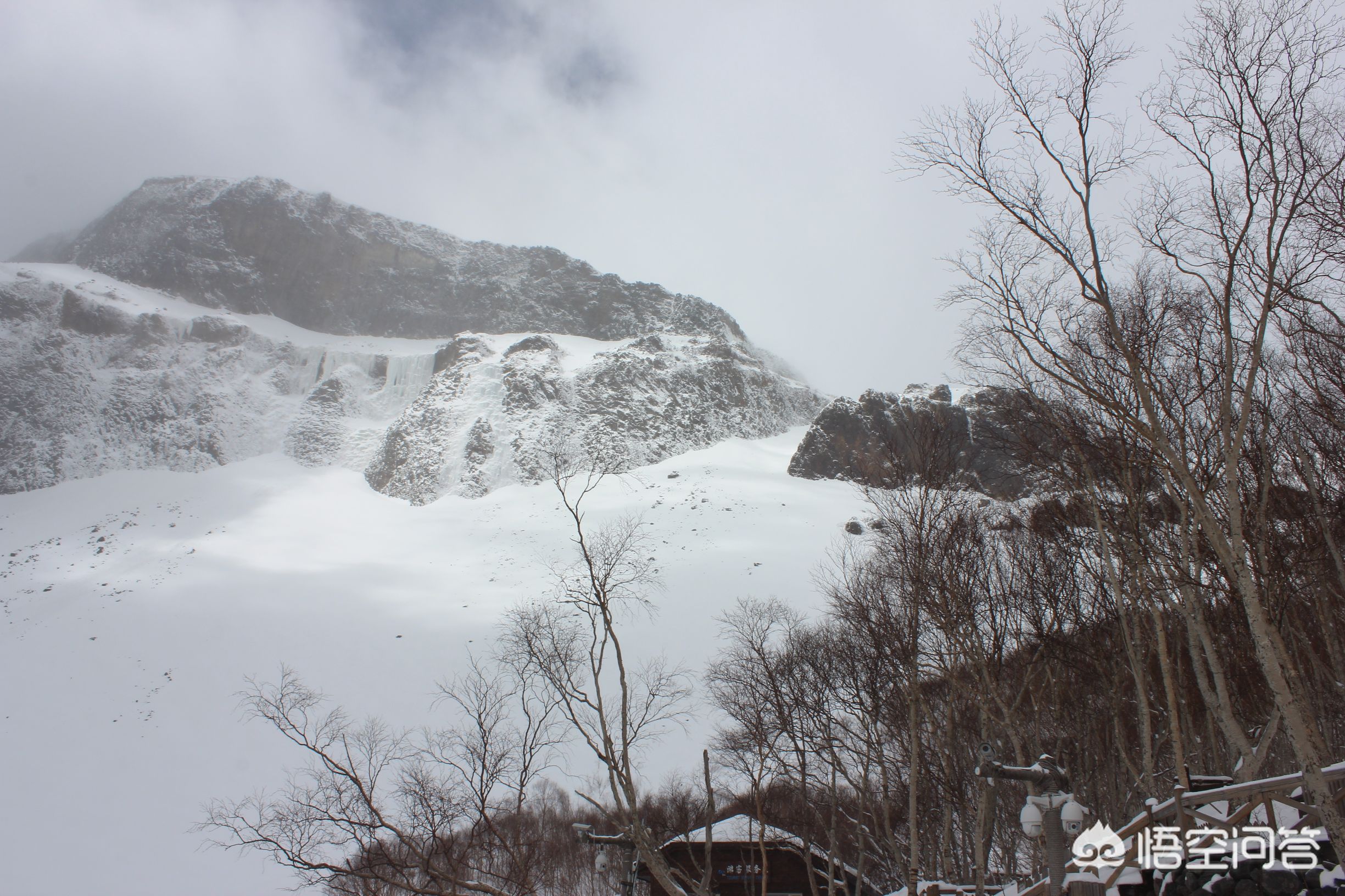 今日科普一下！黑悟空雪雕被嘲憨厚,百科词条爱好_2024最新更新