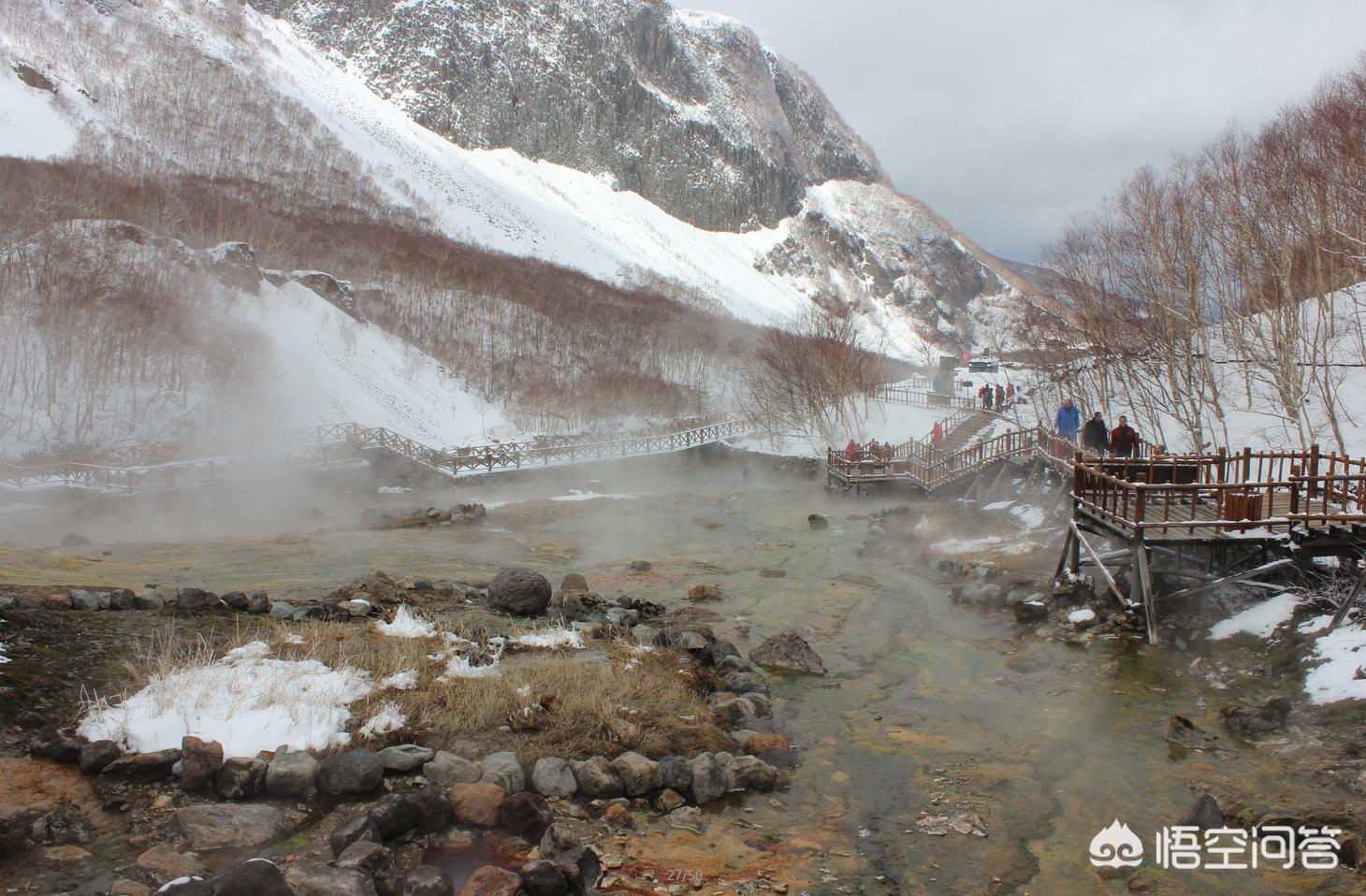 今日科普一下！黑悟空雪雕被嘲憨厚,百科词条爱好_2024最新更新