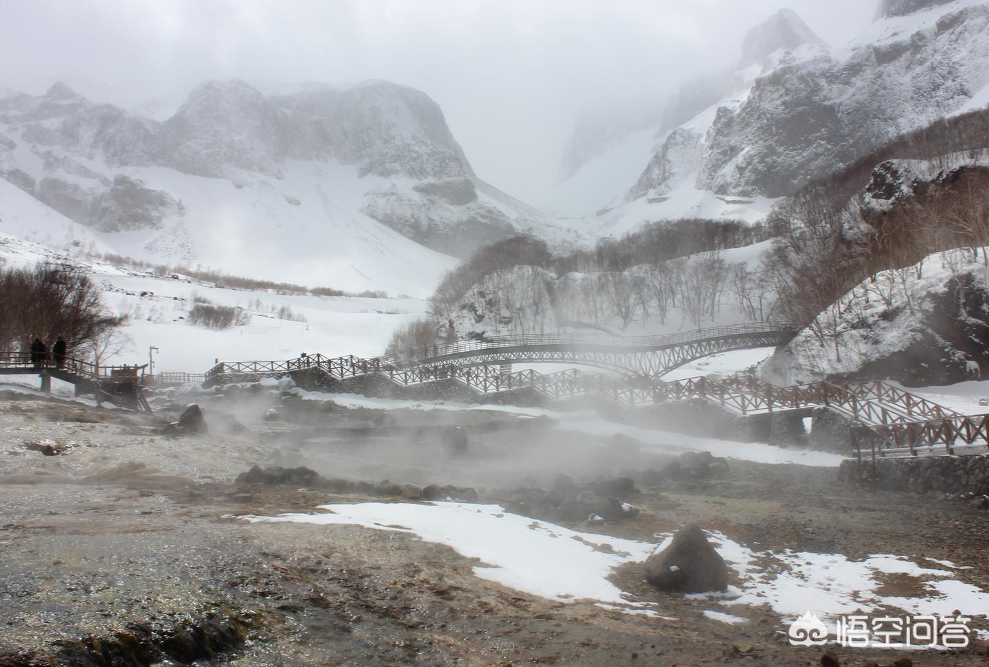 今日科普一下！黑悟空雪雕被嘲憨厚,百科词条爱好_2024最新更新