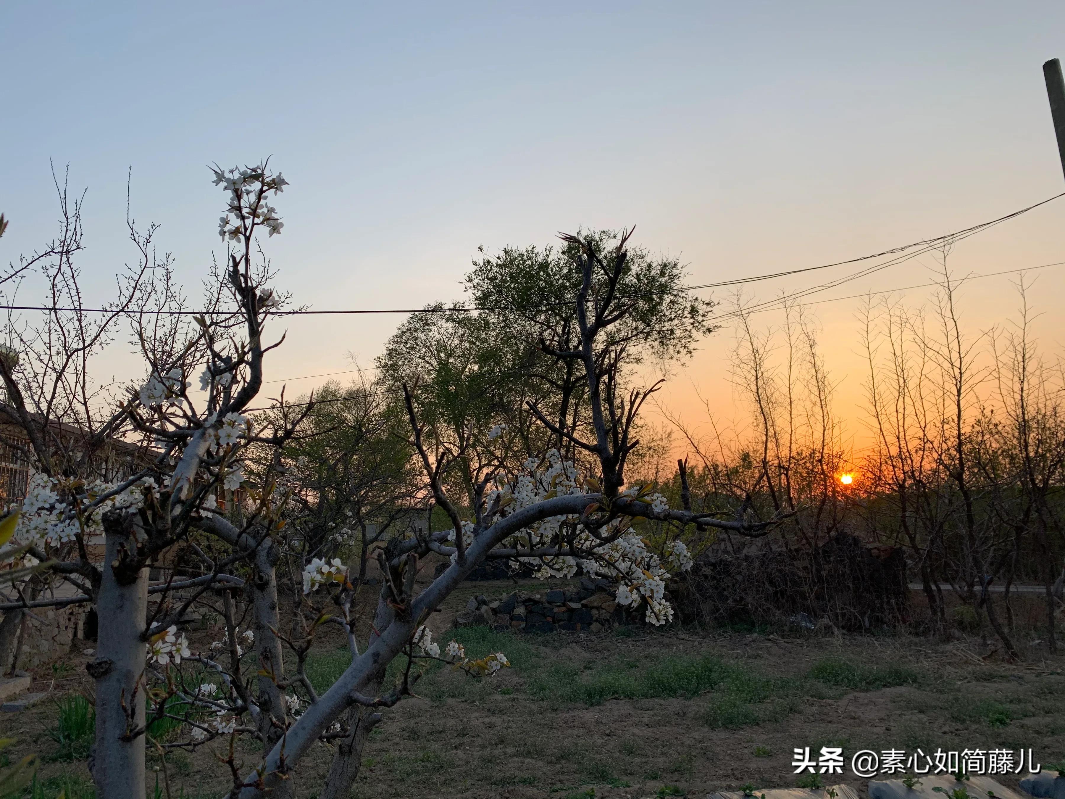 今日科普一下！拍下故宫史诗级朝霞,百科词条爱好_2024最新更新