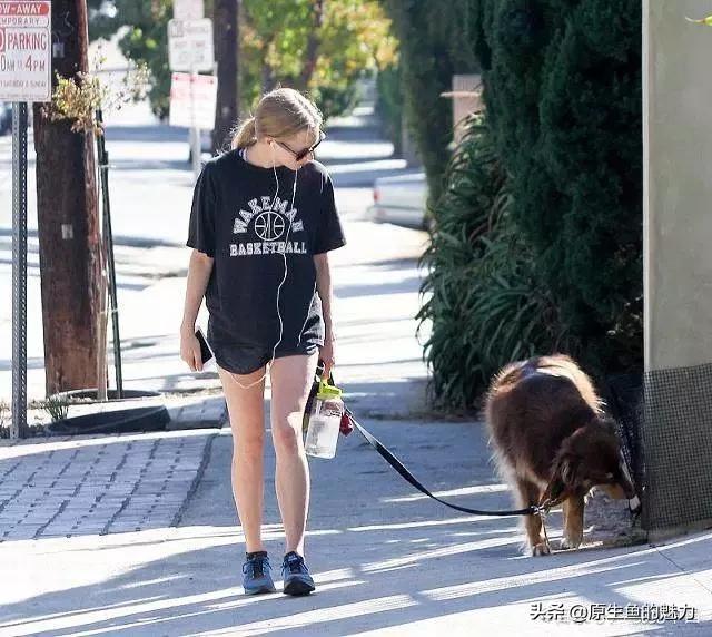 今日科普一下！4条大型犬撕咬母女,百科词条爱好_2024最新更新