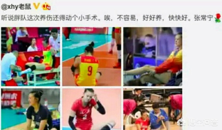 今日科普一下！朱婷每天5粒止疼药,百科词条爱好_2024最新更新