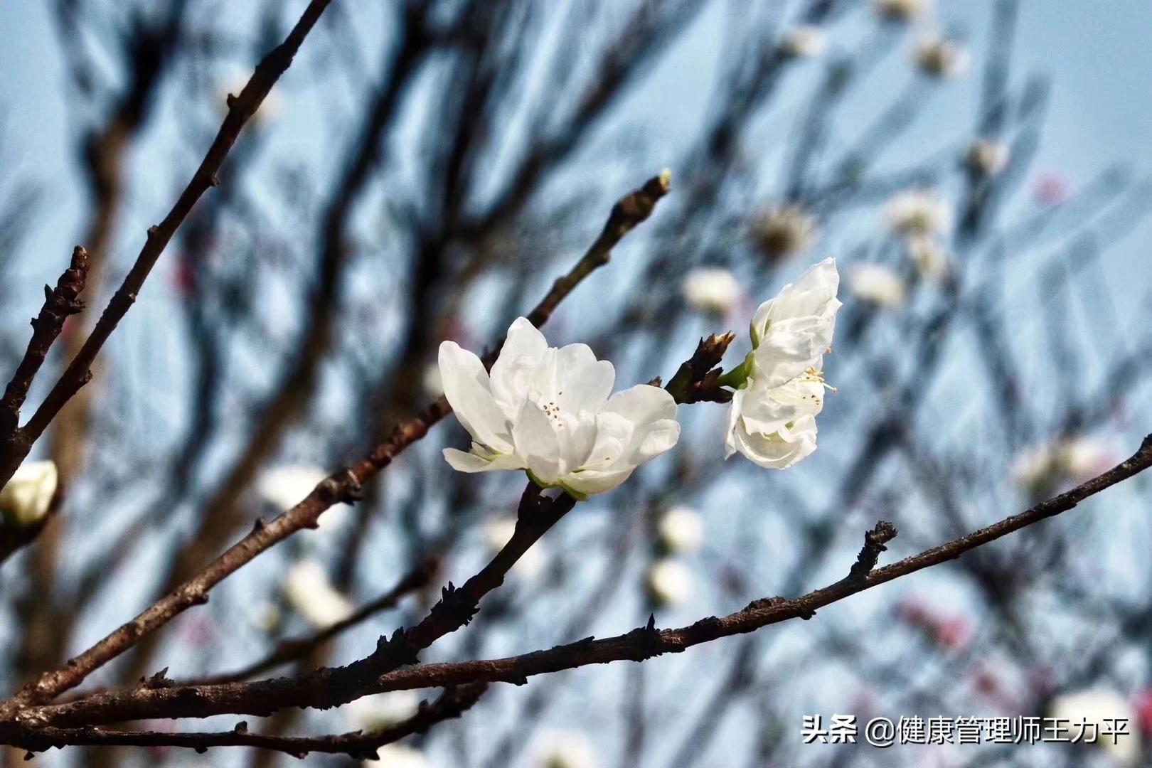 今日科普一下！降温后手指冻成白色,百科词条爱好_2024最新更新