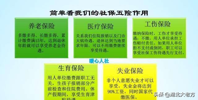 今日科普一下！探亲和儿子双双被拐,百科词条爱好_2024最新更新