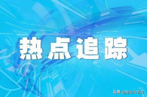 今日科普一下！探亲和儿子双双被拐,百科词条爱好_2024最新更新