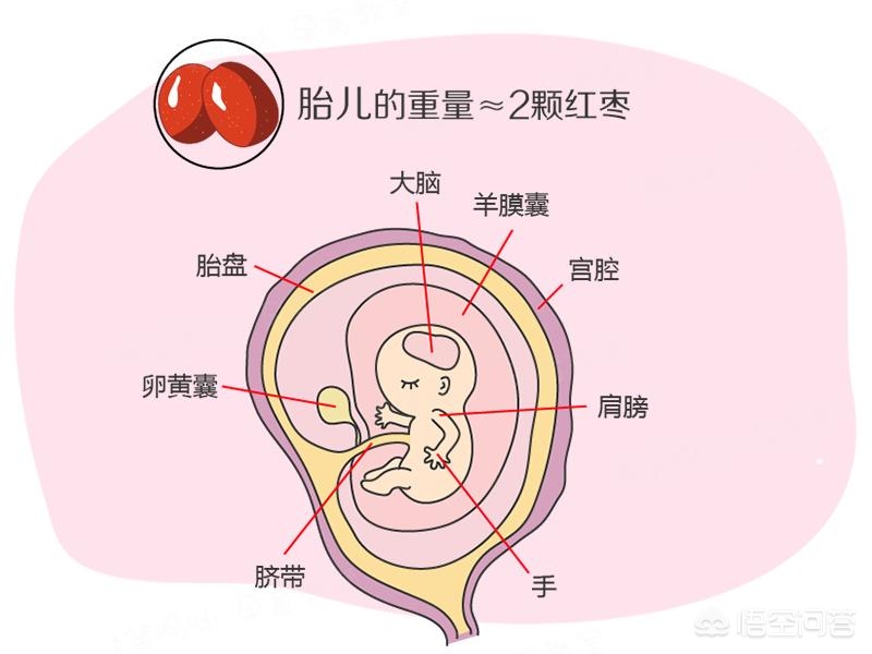 今日科普一下！晾晒的衣服酷似人形,百科词条爱好_2024最新更新