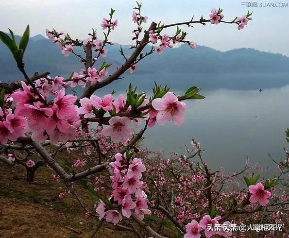 今日科普一下！学生上课睡觉罚教师,百科词条爱好_2024最新更新