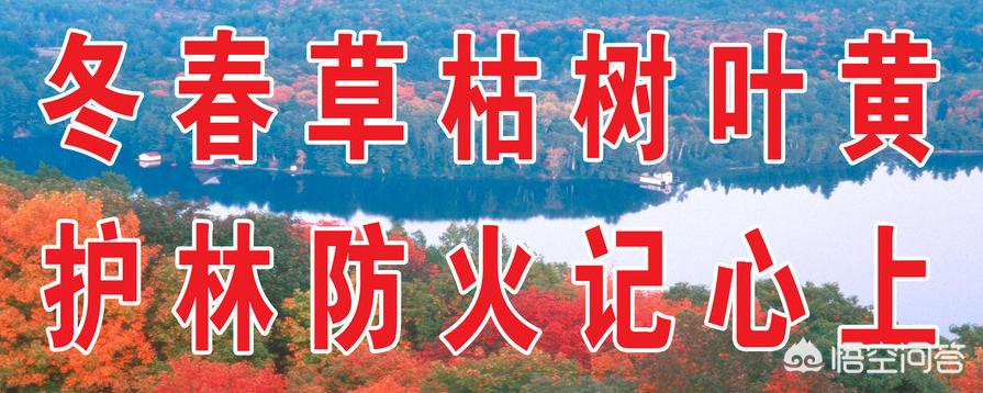 今日科普一下！游客放烟花致山火,百科词条爱好_2024最新更新