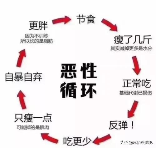 今日科普一下！减肥为什么会反弹,百科词条爱好_2024最新更新