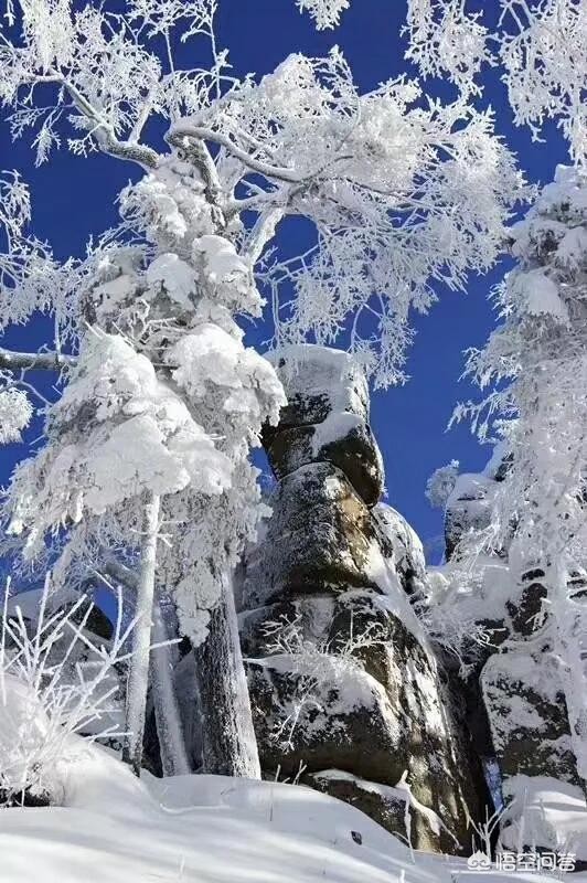 今日科普一下！冰雪辽宁舰亮相尔滨,百科词条爱好_2024最新更新