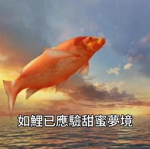 今日科普一下！锦鲤一夜之间全死,百科词条爱好_2024最新更新