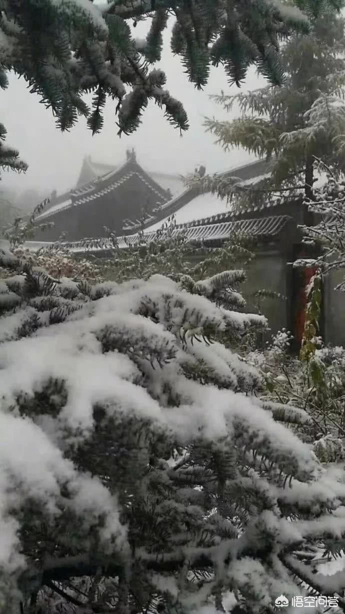 今日科普一下！北京下雪,百科词条爱好_2024最新更新